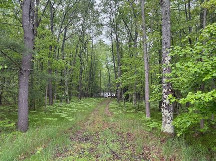 Undeveloped Land for sale in Lake County, Michigan