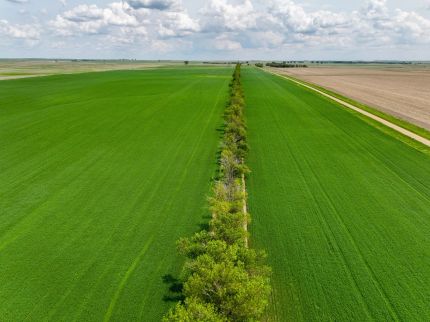 Property for sale in Edmunds County, South Dakota