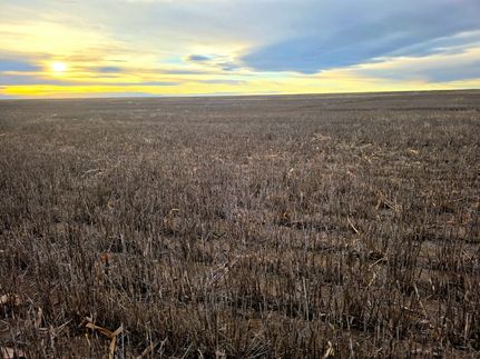 Undeveloped Land for sale in Yuma County, Colorado