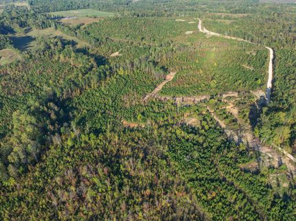 Residential Property for sale in Decatur County, Tennessee