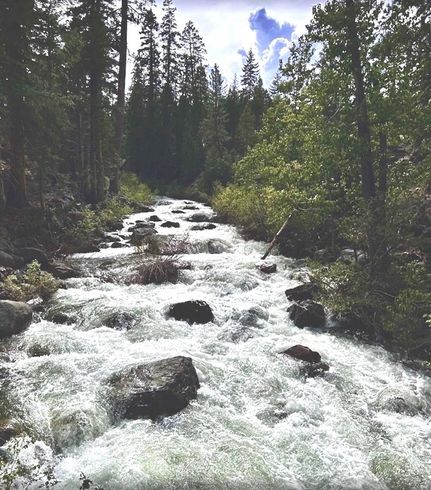 Riverfront Property for sale in Siskiyou County, California