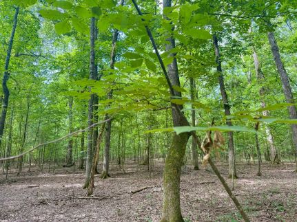 Property for sale in Prairie County, Arkansas