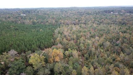 Timberland Property for sale in Greene County, Alabama