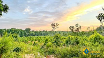 Undeveloped Land for sale in Hardeman County, Tennessee