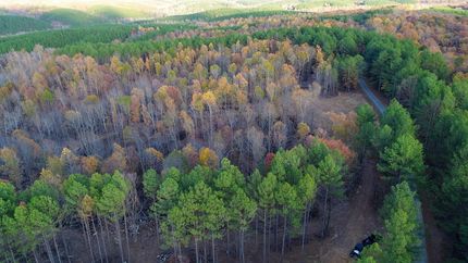 Undeveloped Land for sale in Lewis County, Tennessee