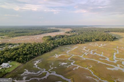 Waterfront Property for sale in Camden County, Georgia