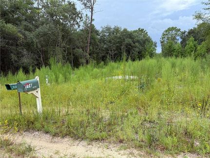 Undeveloped Land for sale in Putnam County, Florida