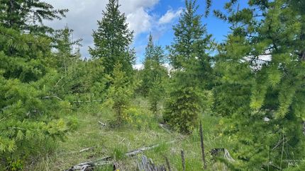 Property for sale in Clearwater County, Idaho