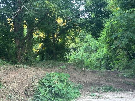 Undeveloped Land for sale in Marion County, Kentucky