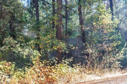 Undeveloped Land for sale in El Dorado County, California