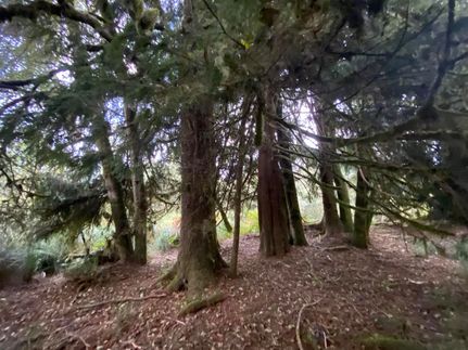 Lakefront Property for sale in Clatsop County, Oregon