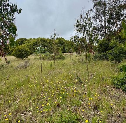 Undeveloped Land for sale in San Mateo County, California