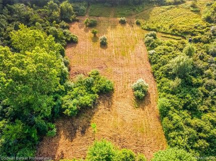 Undeveloped Land for sale in Washtenaw County, Michigan