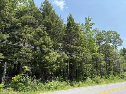 Undeveloped Land for sale in Penobscot County, Maine