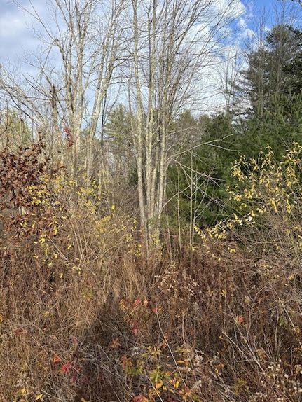 Property for sale in York County, Maine