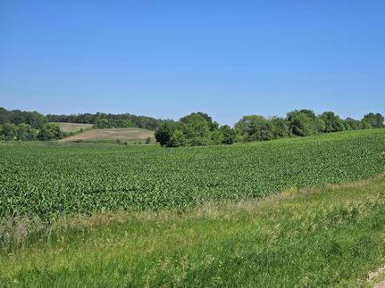 Property for sale in Otter Tail County, Minnesota