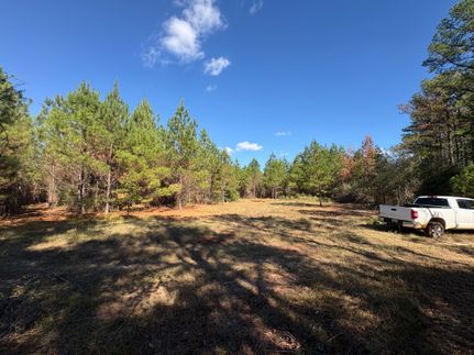 Hunting Land for sale in Choctaw County, Alabama