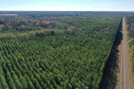 Hunting Land for sale in Sumter County, Georgia