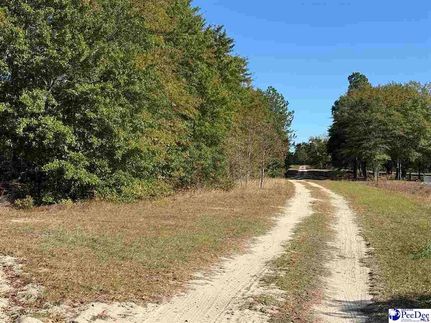 Property for sale in Chesterfield County, South Carolina