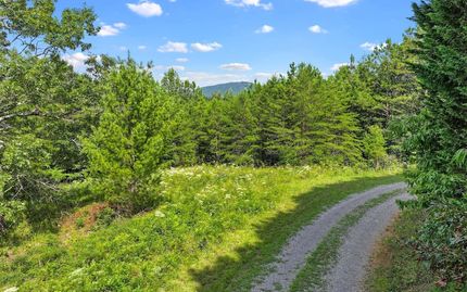 Property for sale in Fannin County, Georgia