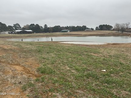 Undeveloped Land for sale in Tate County, Mississippi