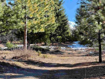 Property for sale in Siskiyou County, California