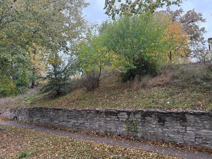 Property for sale in Ramsey County, Minnesota