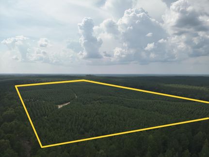 Property for sale in Dallas County, Arkansas