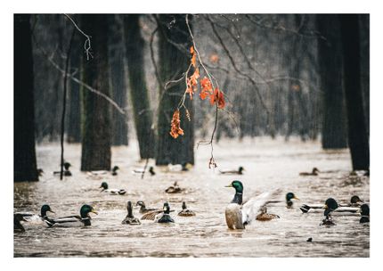 Property for sale in Monroe County, Arkansas