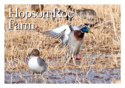 Farm Property for sale in Monroe County, Arkansas