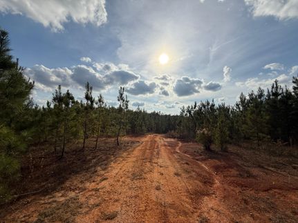 Timberland Property for sale in Randolph County, Georgia