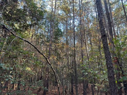 Property for sale in Ouachita County, Arkansas