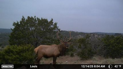 Property for sale in Edwards County, Texas