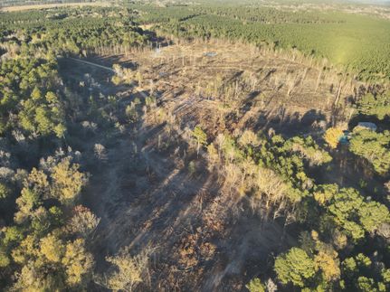 Timberland Property for sale in Calhoun County, Arkansas