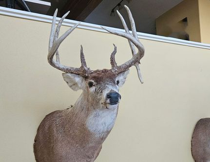 Recreational Property for sale in Keokuk County, Iowa