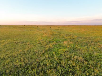 Undeveloped Land for sale in Pawnee County, Kansas