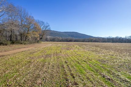 Hunting Land for sale in Madison County, Alabama