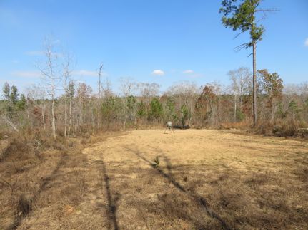 Undeveloped Land for sale in Randolph County, Georgia