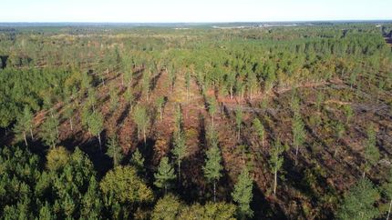 Property for sale in Lexington County, South Carolina