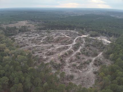 Undeveloped Land for sale in Union County, Arkansas