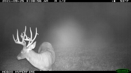 Property for sale in Boone County, Missouri