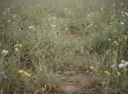 Undeveloped Land for sale in Bryan County, Oklahoma