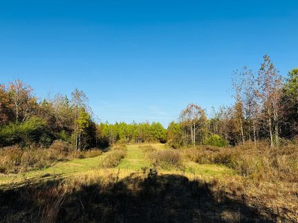 Property for sale in Attala County, Mississippi