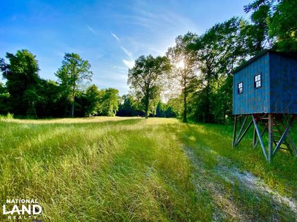 Riverfront Property for sale in Greene County, Mississippi