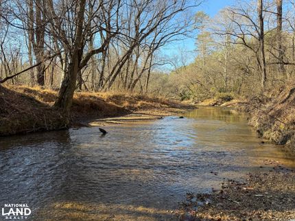Riverfront Property for sale in Burke County, North Carolina