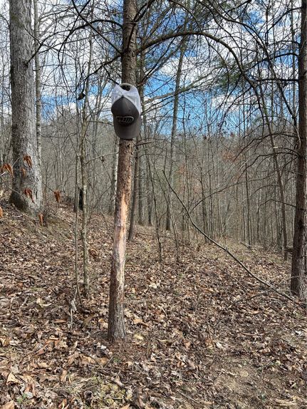 Hunting Land for sale in Lawrence County, Ohio