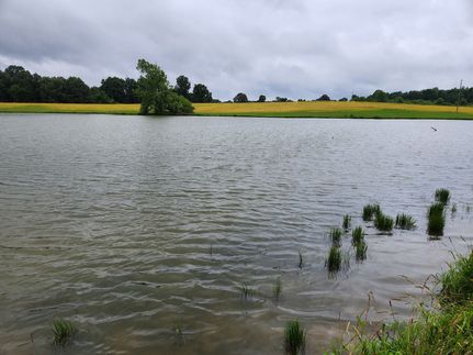 Property in Crittenden County, Kentucky