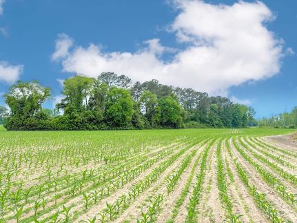 Undeveloped Land for sale in Marlboro County, South Carolina