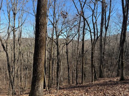 Property for sale in Cleburne County, Alabama