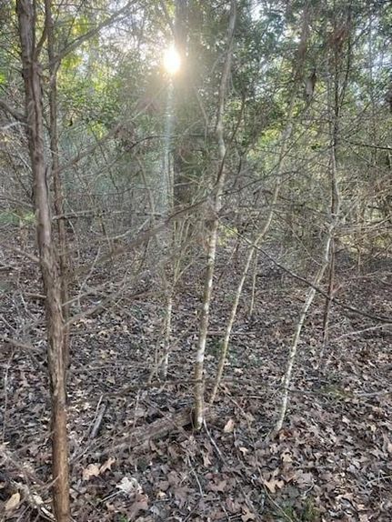 Undeveloped Land for sale in Bastrop County, Texas